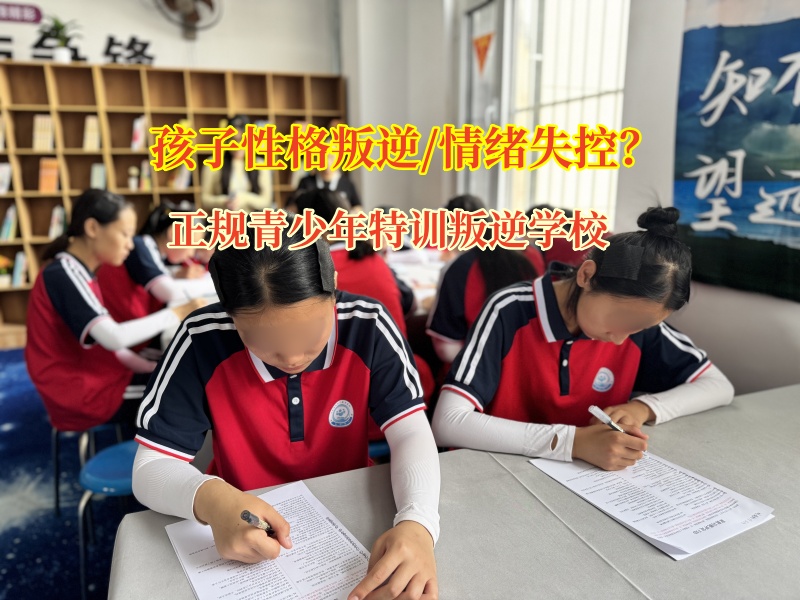 矫正孩子情绪失控问题