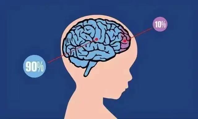 开发智力；补充营养、脑细胞发育